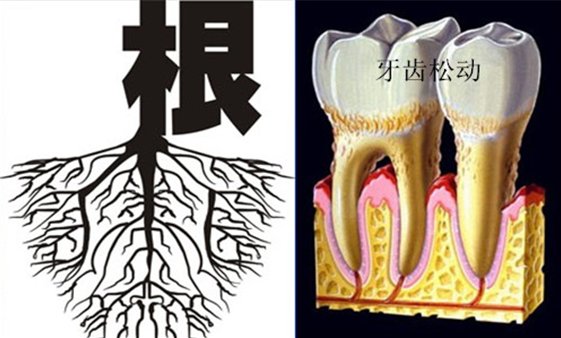 牙齿松动